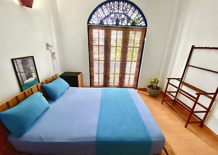 Pets Allowed Hotel Seconds - Colombo