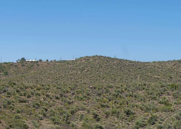 Motel: Travelodge By Wyndham Globe Az