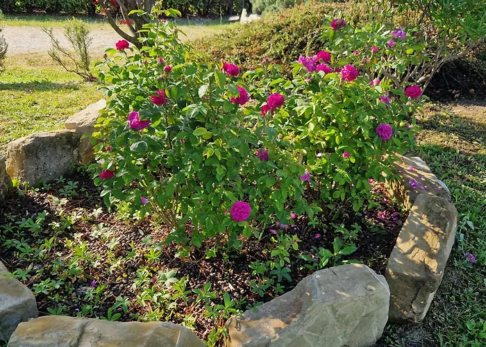 Casa vacanza: Suite Umberto I