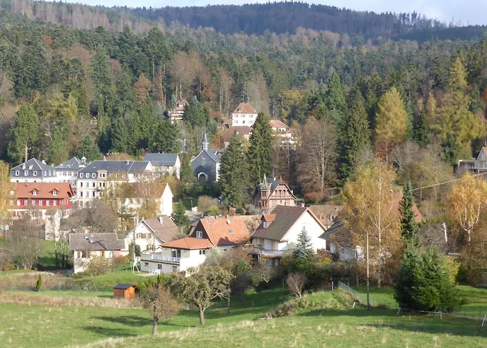 Hôtel accueillant les animaux: Hôtel Marchal