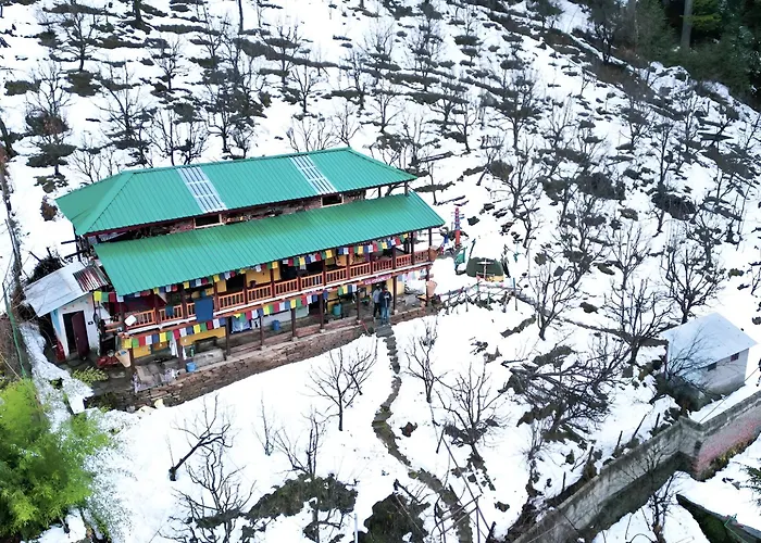 Pet Friendly hotel: C6Manali