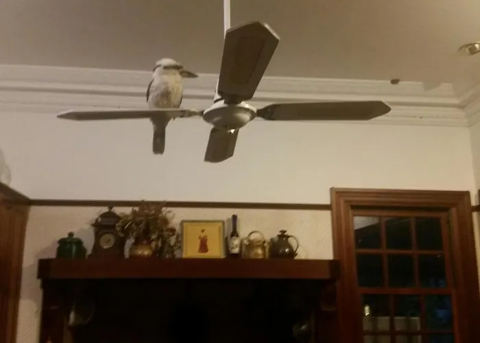 Riviera Bed & Breakfast