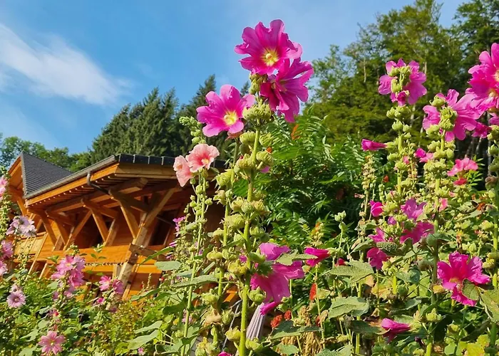 Arpitan - Les Carroz - Grand Massif