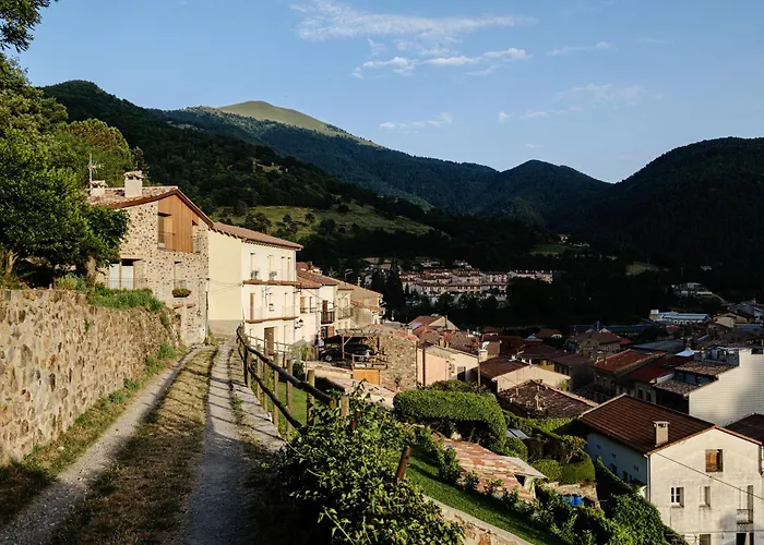 Cal Periquet Rural