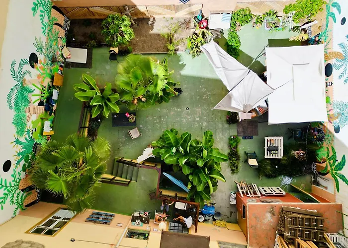Jungle House