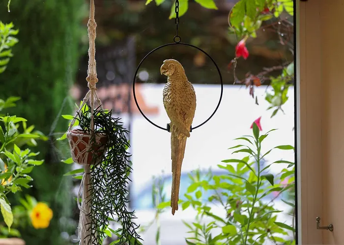4 sterren hotel: Hotel La Villa Sainte Valerie Adults Only