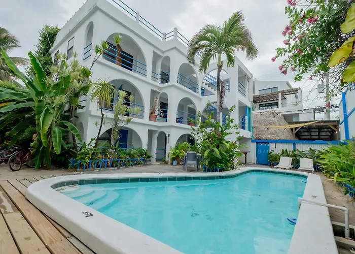Pet Friendly hotel: Seven Seas Resort Adults Only