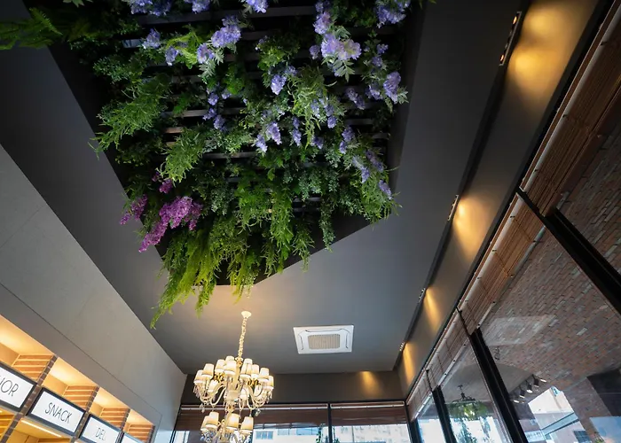 Hotel: South Vandeco Hotel