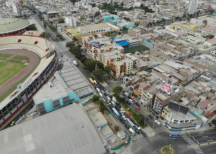 Palmas Reales