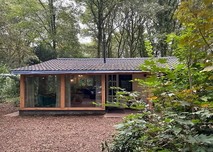 In Het Bos