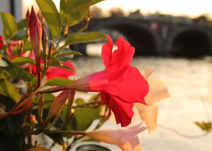 Casa de huéspedes: Houseboat Orpheus