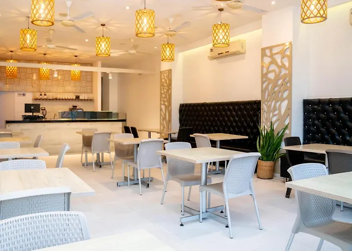 Cheap hotel: Hotel Vina Del Mar