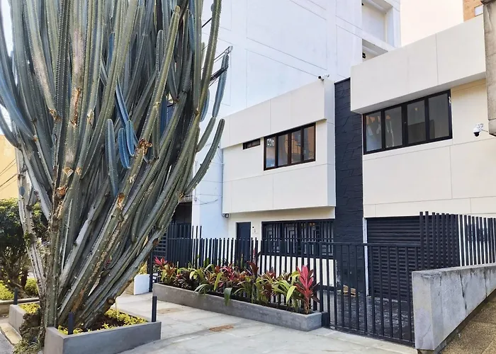 Kasa Cactus Laureles,