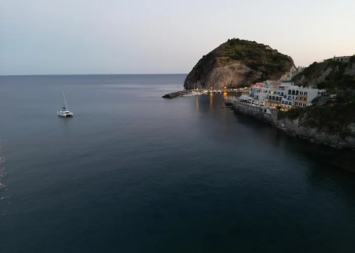 Hotel adatto agli animali: Apollon Club & Thermal Spa (Adults Only)