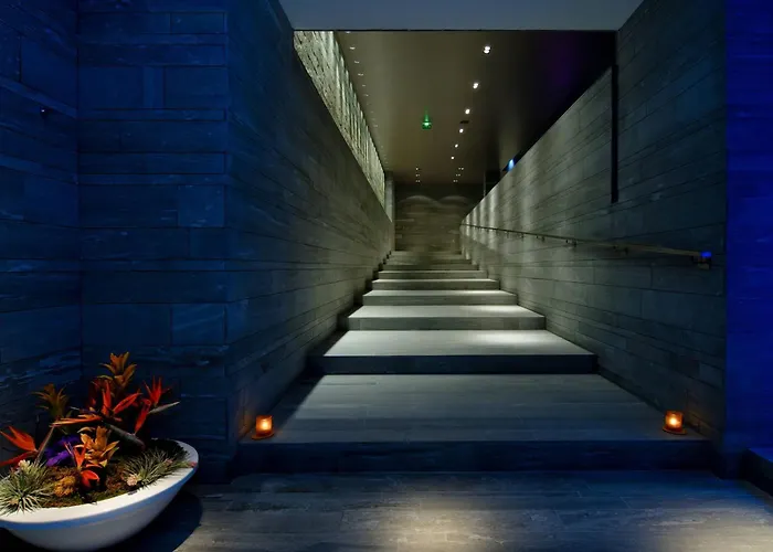 Hôtel accueillant les animaux: Hôtel de Bourgtheroulde, Autograph Collection