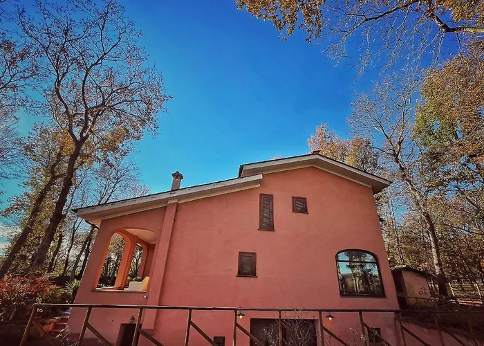 Hotel adatto agli animali: Guest House La Selvotta