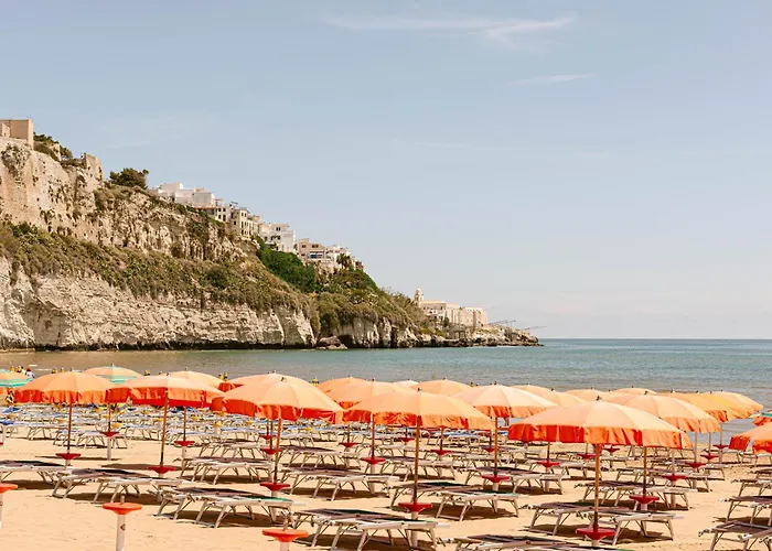 Hotel 4 stelle: Hotel Degli Aranci