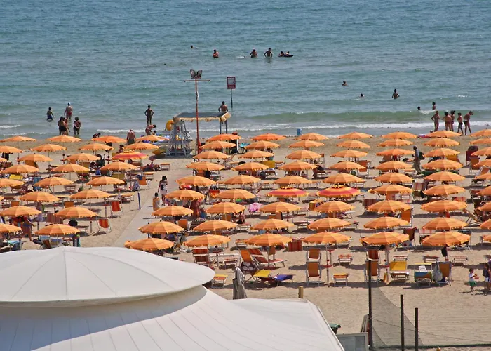 Hotel adatto agli animali: Hotel Cesare