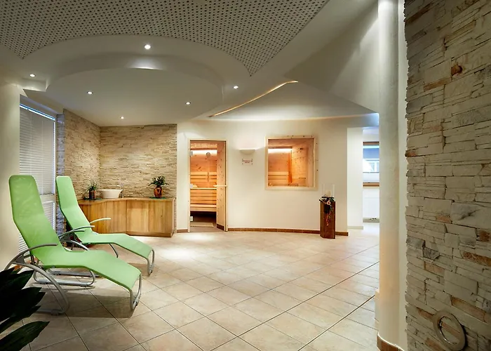 3 sterren hotel: Hotel Der Wolkensteinbaer