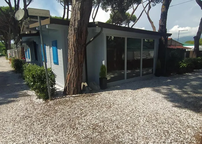 Hotel vicino al College: Parco Vacanze Camping Sogno