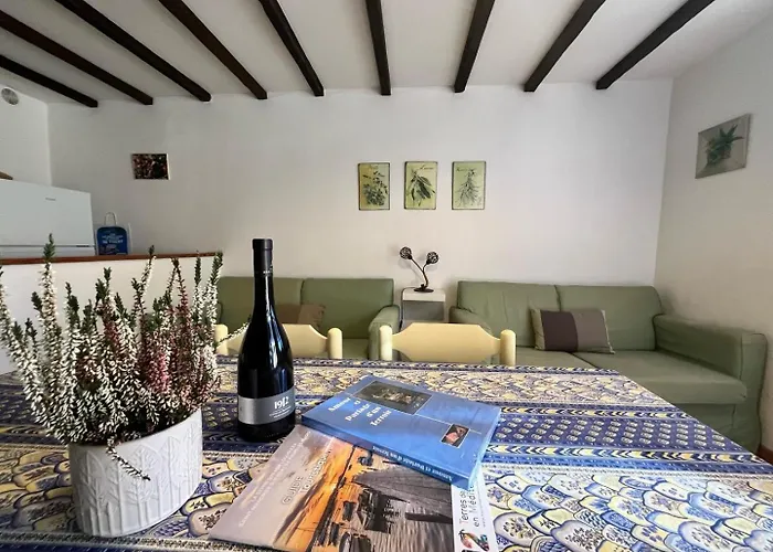 Au Jardin De La Ferme - Gite Vigne Vierge