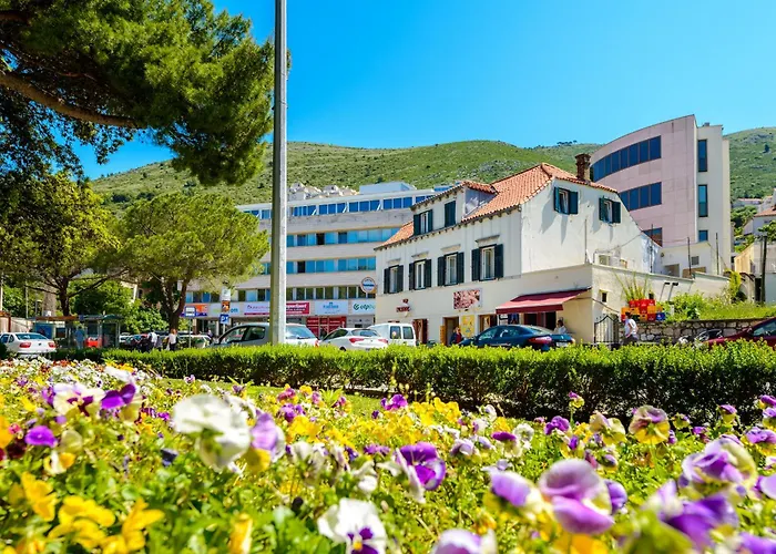 Lodge: Hostel Euroadria