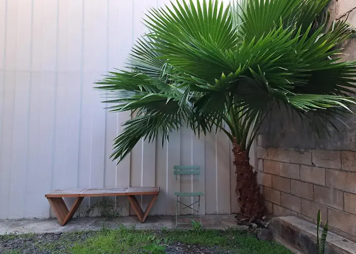Hostel: Honu Waikiki By Aloh