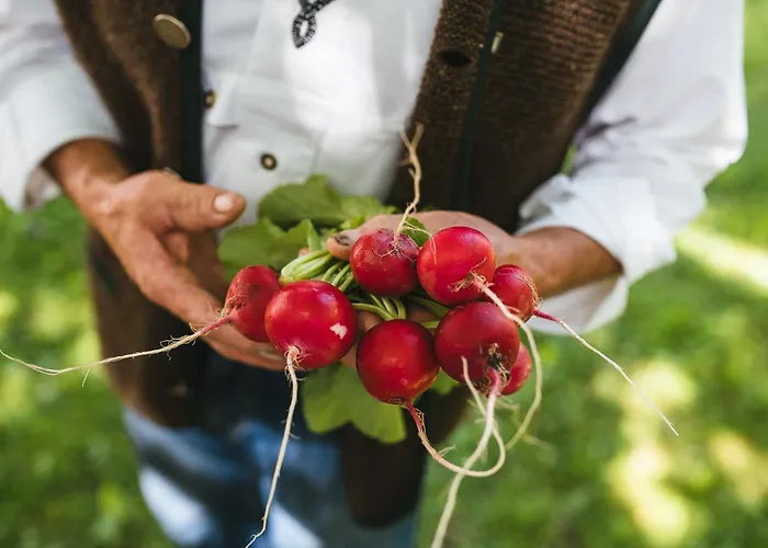 Hotel 4 stelle: Hotel Zum Mohren