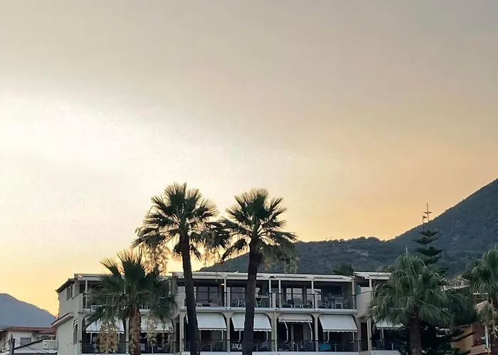 Palm Trees