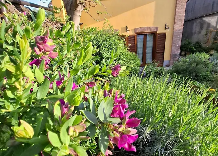 Casa Lavanda