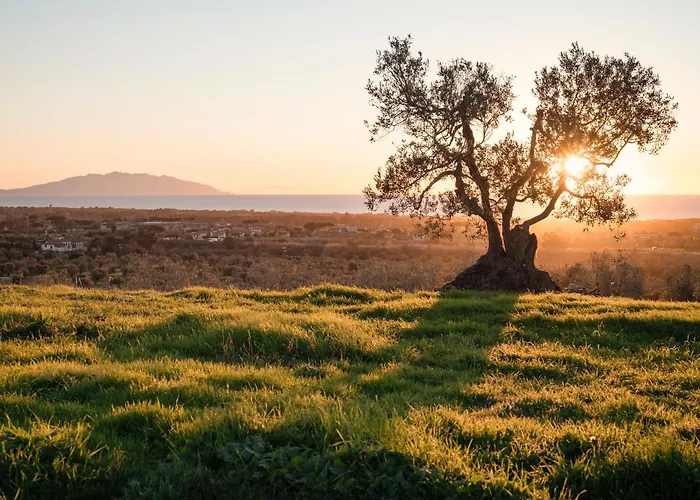 La villa: Agriturismo Podere L'Agave
