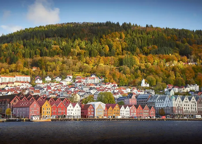 Huisdiervriendelijk hotel: Hotel Oleana