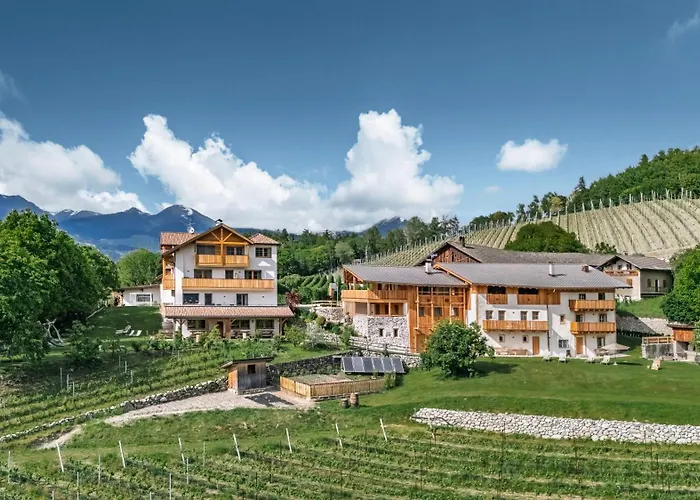Trinnerhof- Hof Chalets Und Obsthof