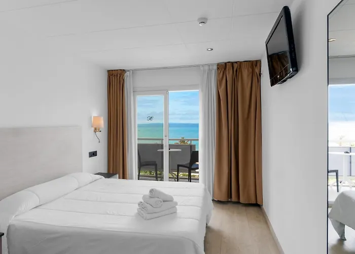 Hôtel accueillant les animaux: Hotel Vela