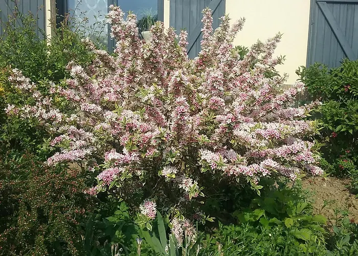 Villa privée: Le Bel Isle