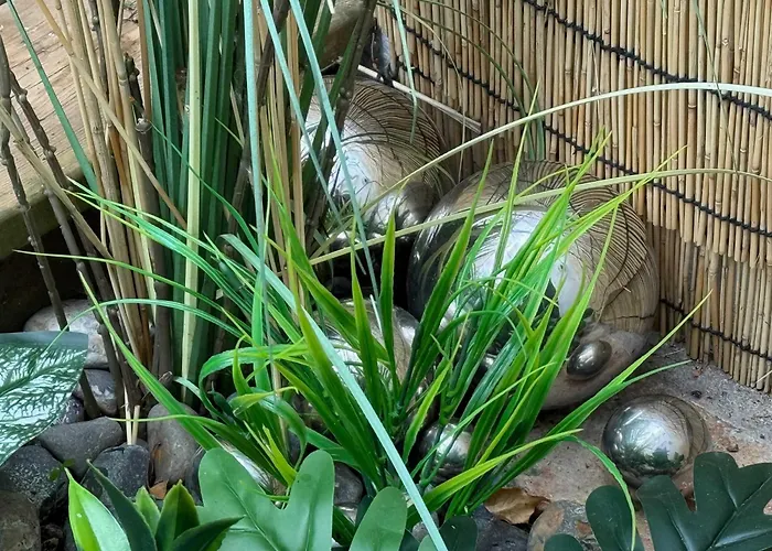 Host & Stay - The Charles Street House