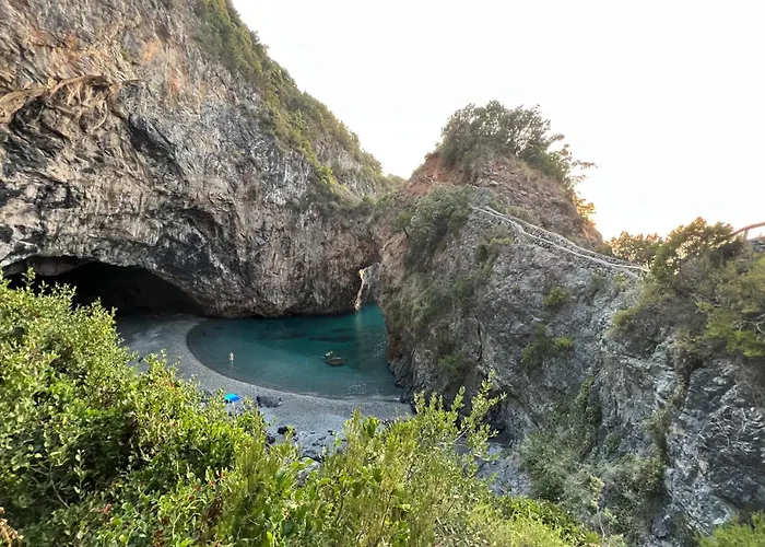 Pura Vida - ArcoMagno -