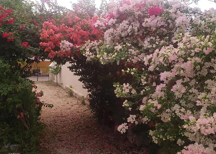 Hotel que admite mascotas: Casa Los Jarochos sencilla