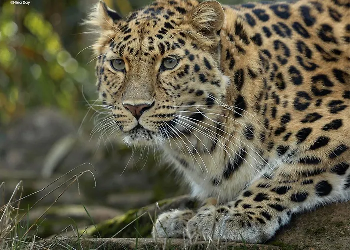 3 star hotel: Holiday Inn Express Colchester By Ihg