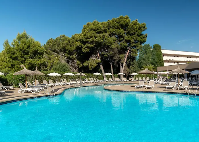 Hotel barato: Tent Palmanova