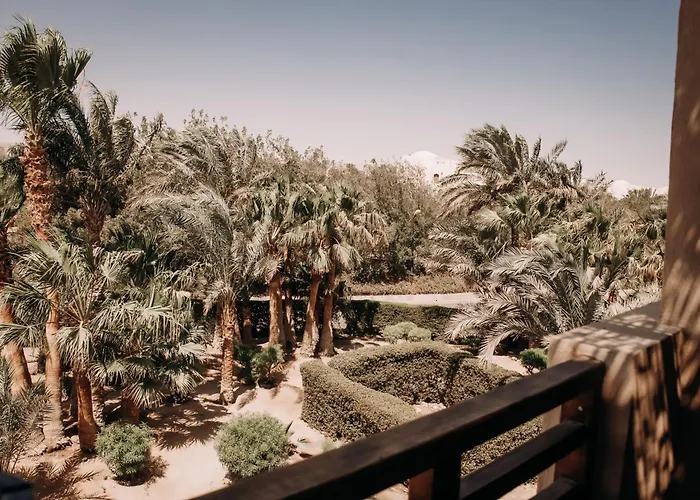 Hôtel: Cook'S Club El Gouna (Adults Only)