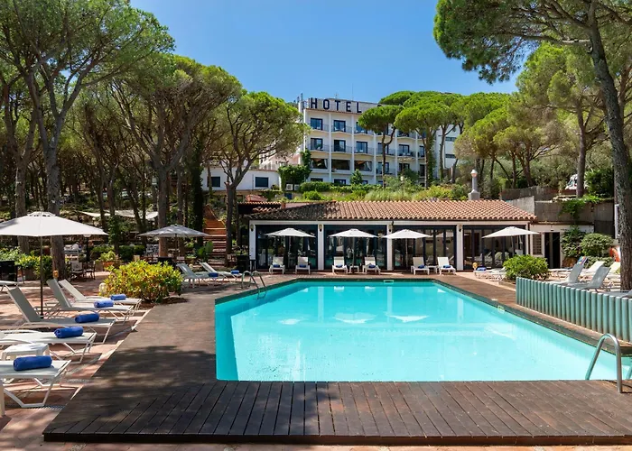 Hôtel accueillant les animaux: Hotel Garbi