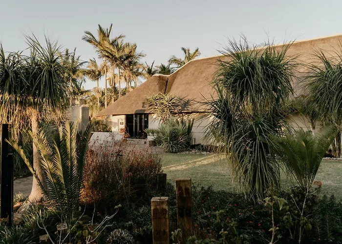 Jacuzzi hotel: Decollage Estate