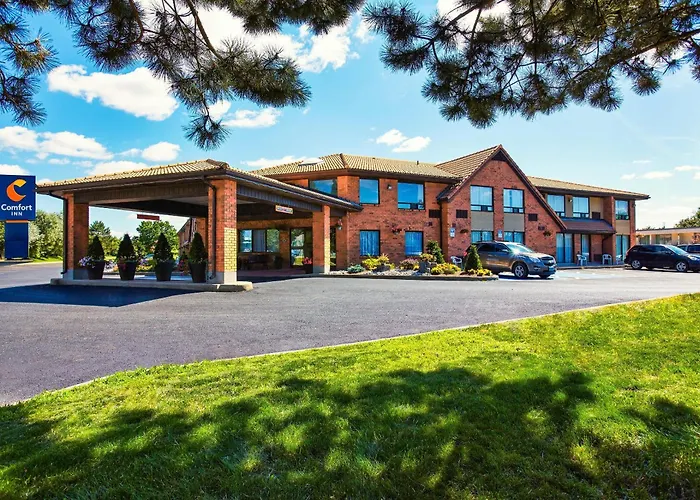 Comfort Inn Airport East