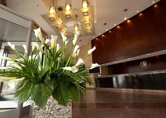 Hilton Colon