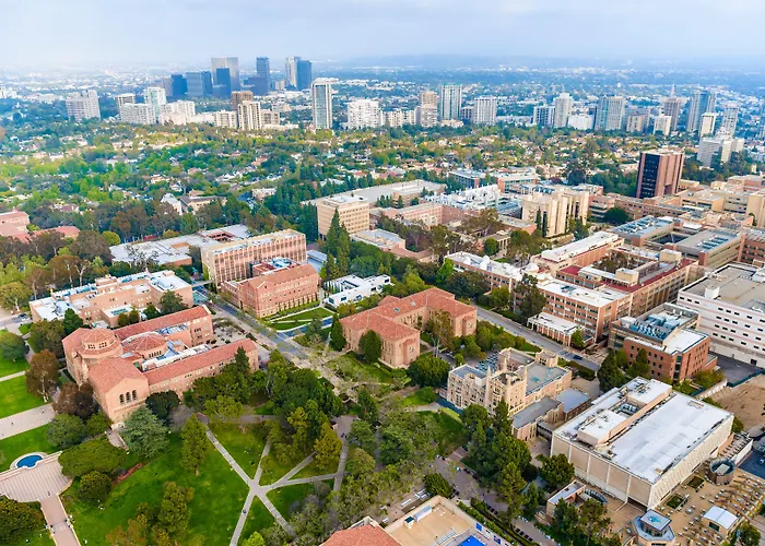 Kimpton Palomar Los Angeles Beverly Hills By Ihg