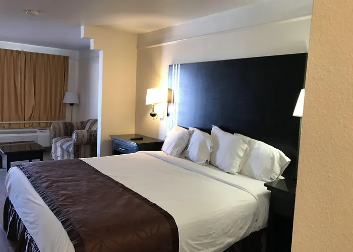 Motel: Texas Inn & Suites Pharr/San Juan