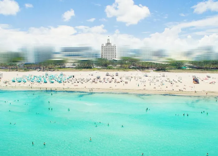 Animaux admis National , An Adult Only Oceanfront Resort