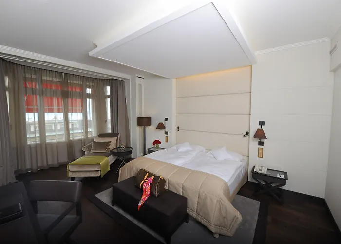Hotel Con Piscina Lausanne Palace