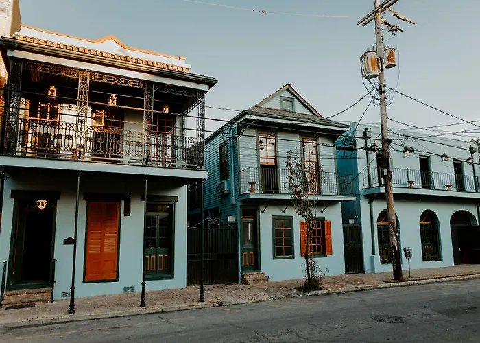 Pet Friendly hotel: Frenchmen Hotel